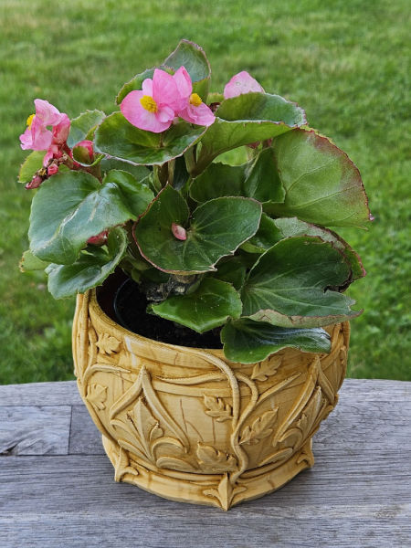 Doniczka Elfów Leśnych