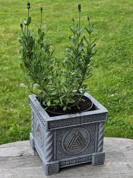 Doniczka Wygnańców Północy