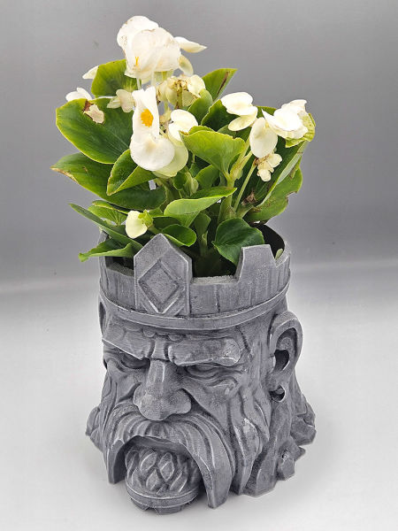 Osłonka Władca Krasnoludów