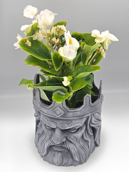 Osłonka Król Ludzi